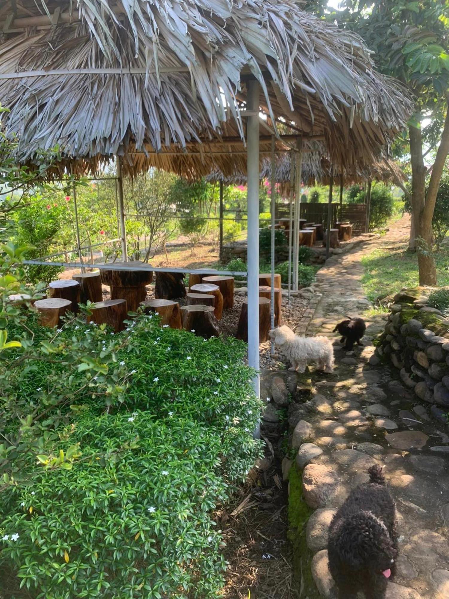 Homestay Nha Cua Mi - Mi'S House Yen Bai Bagian luar foto