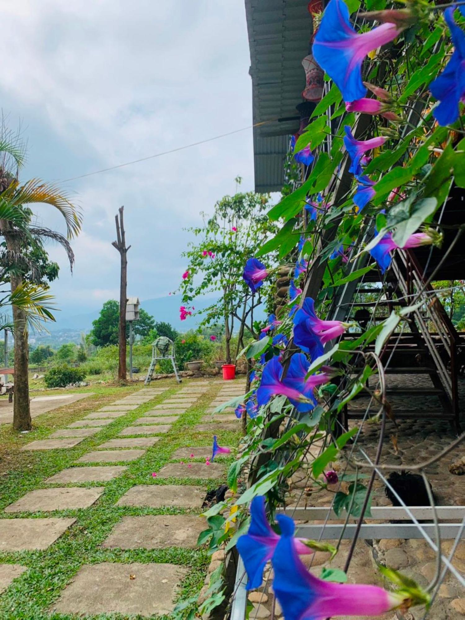 Homestay Nha Cua Mi - Mi'S House Yen Bai Bagian luar foto