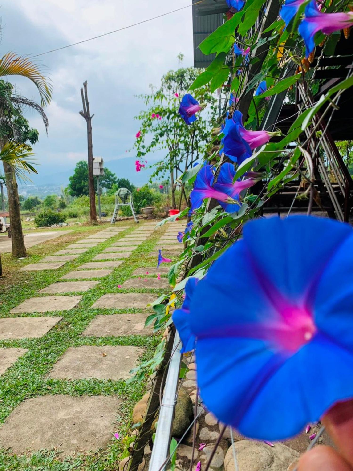 Homestay Nha Cua Mi - Mi'S House Yen Bai Bagian luar foto